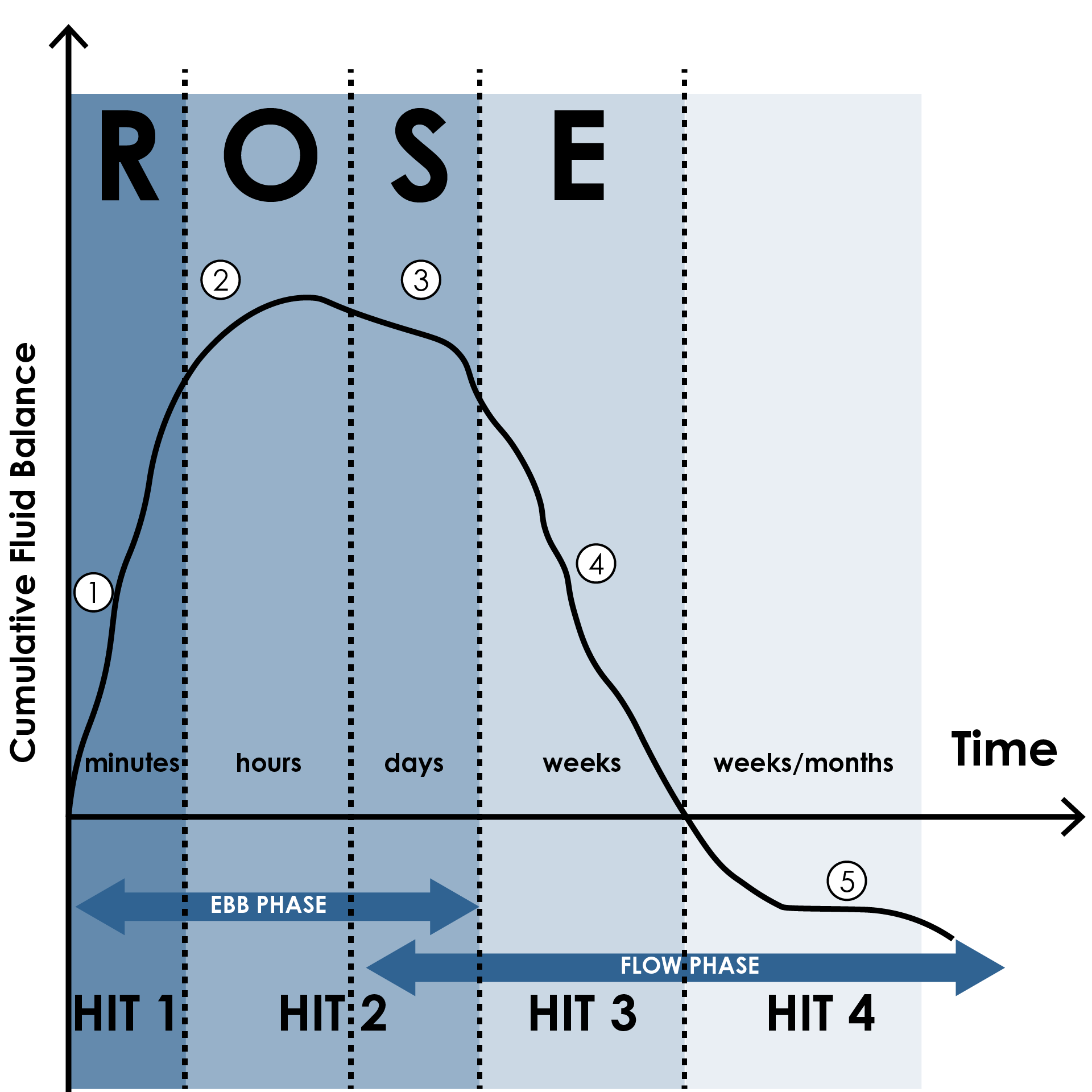 The ROSE model