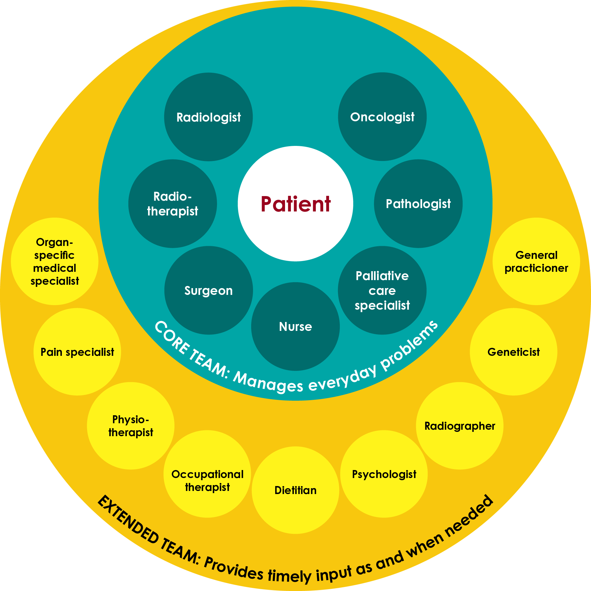 Figure 1. Members of the supportive care team