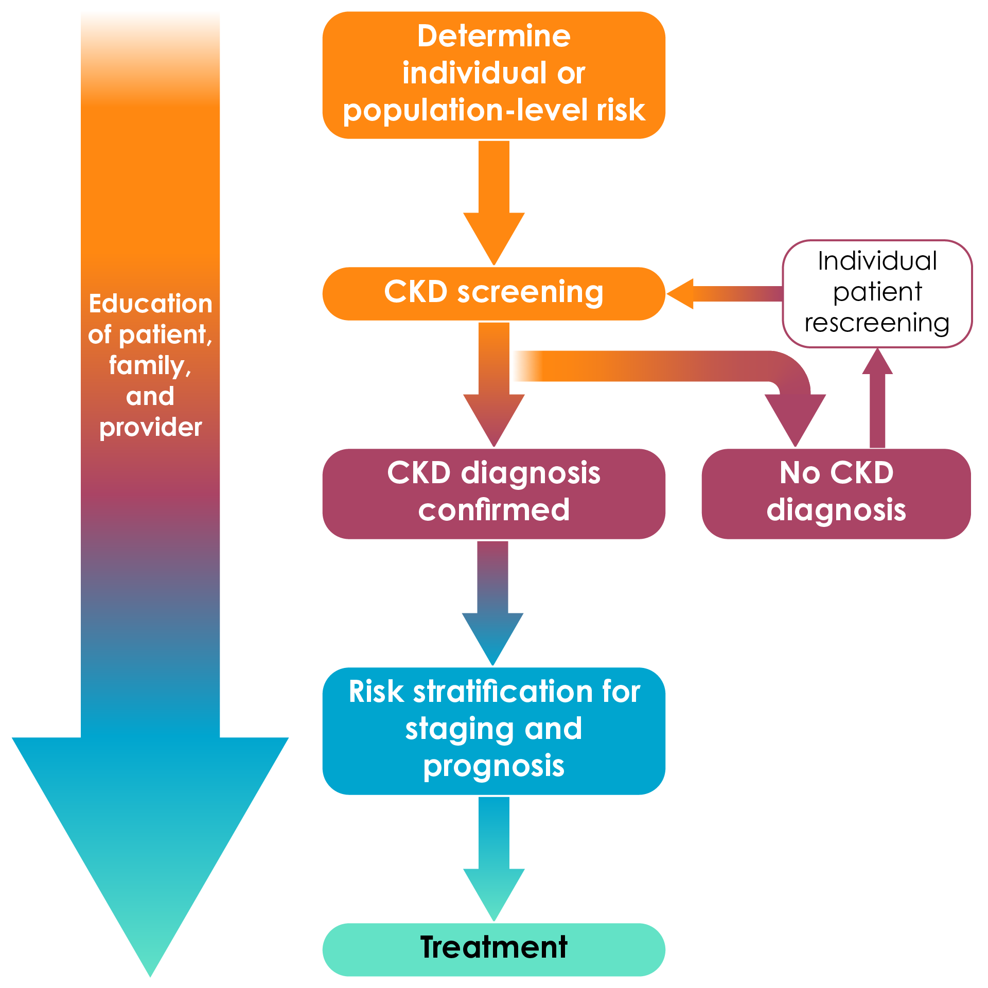 Heat map diagram highlighting chronic kidney disease risk in increasing colour intensity