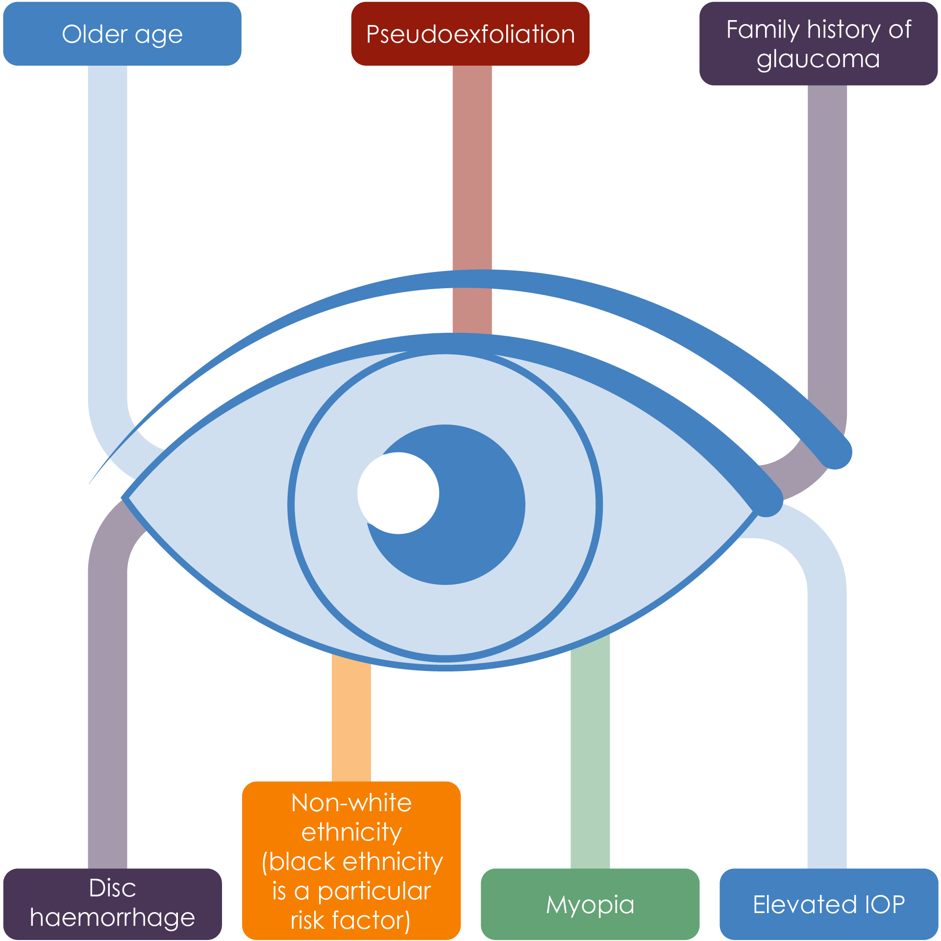 The major risk factors for development of open angle glaucoma