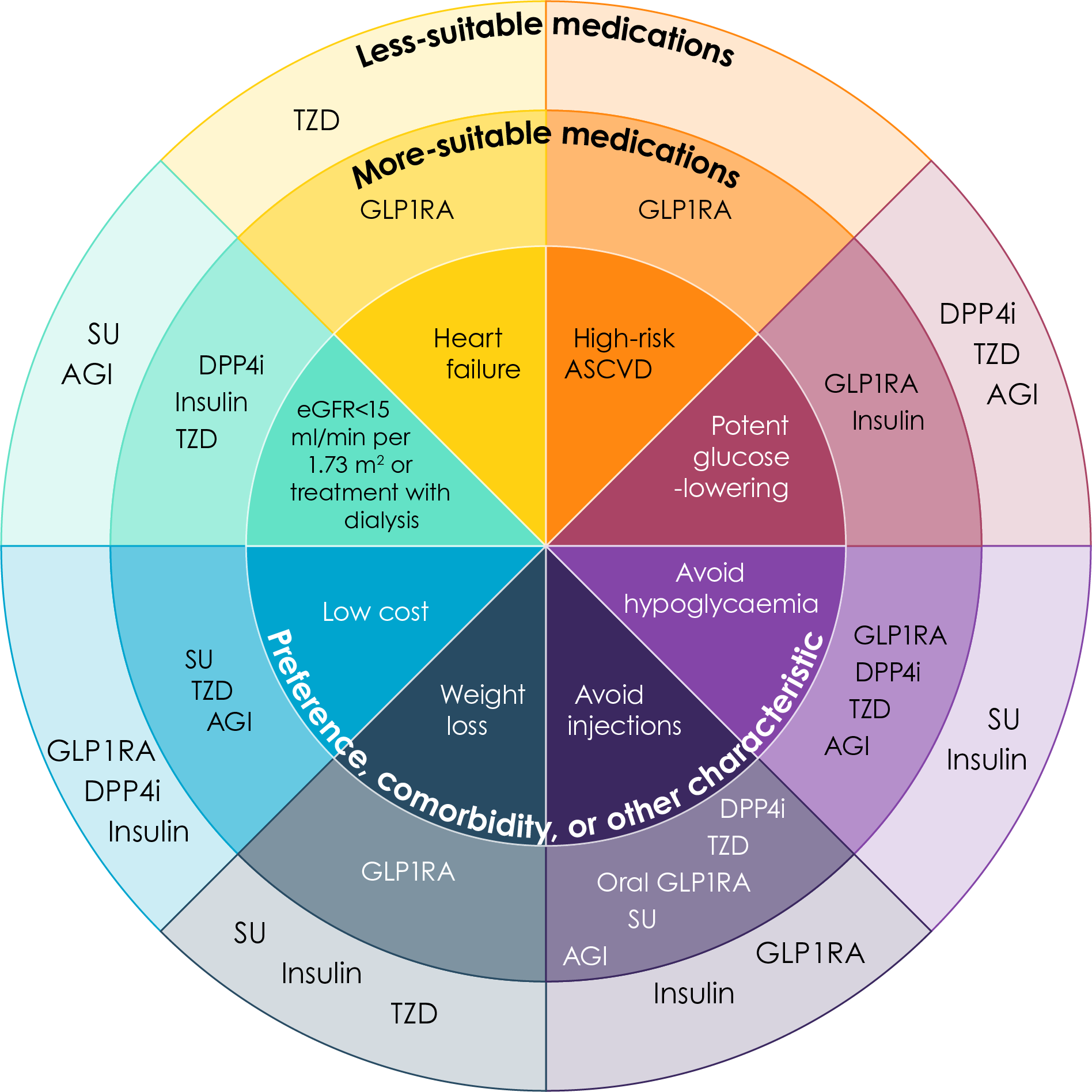 Patient factors influencing selection of glucose-lowering drugs other than SGLT2 inhibitors and metformin in type 2 diabetes and CKD