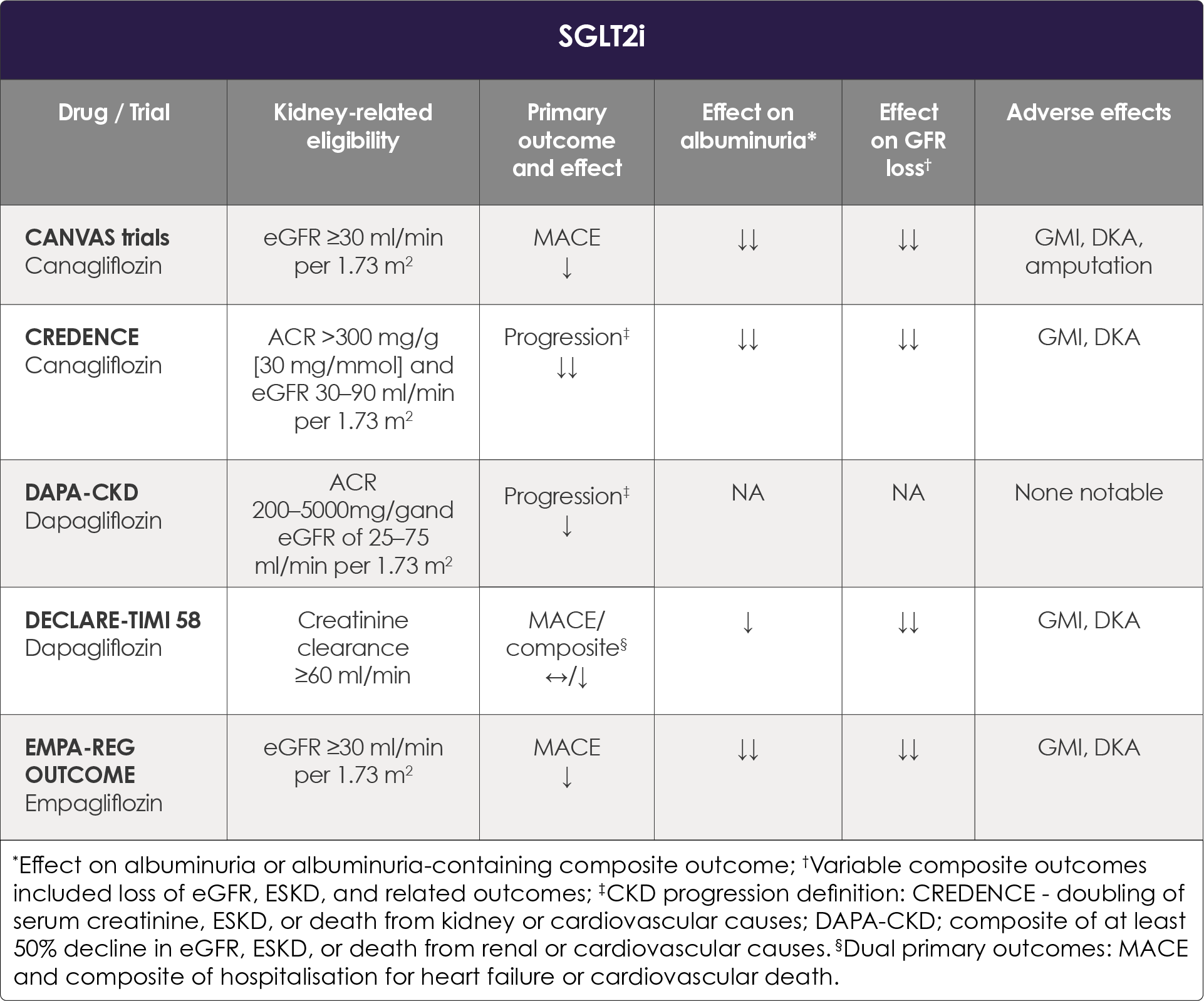 Overview of selected large, placebo-controlled clinical outcome trials assessing the benefits and adverse effects of SGLT2i in chronic kidney disease