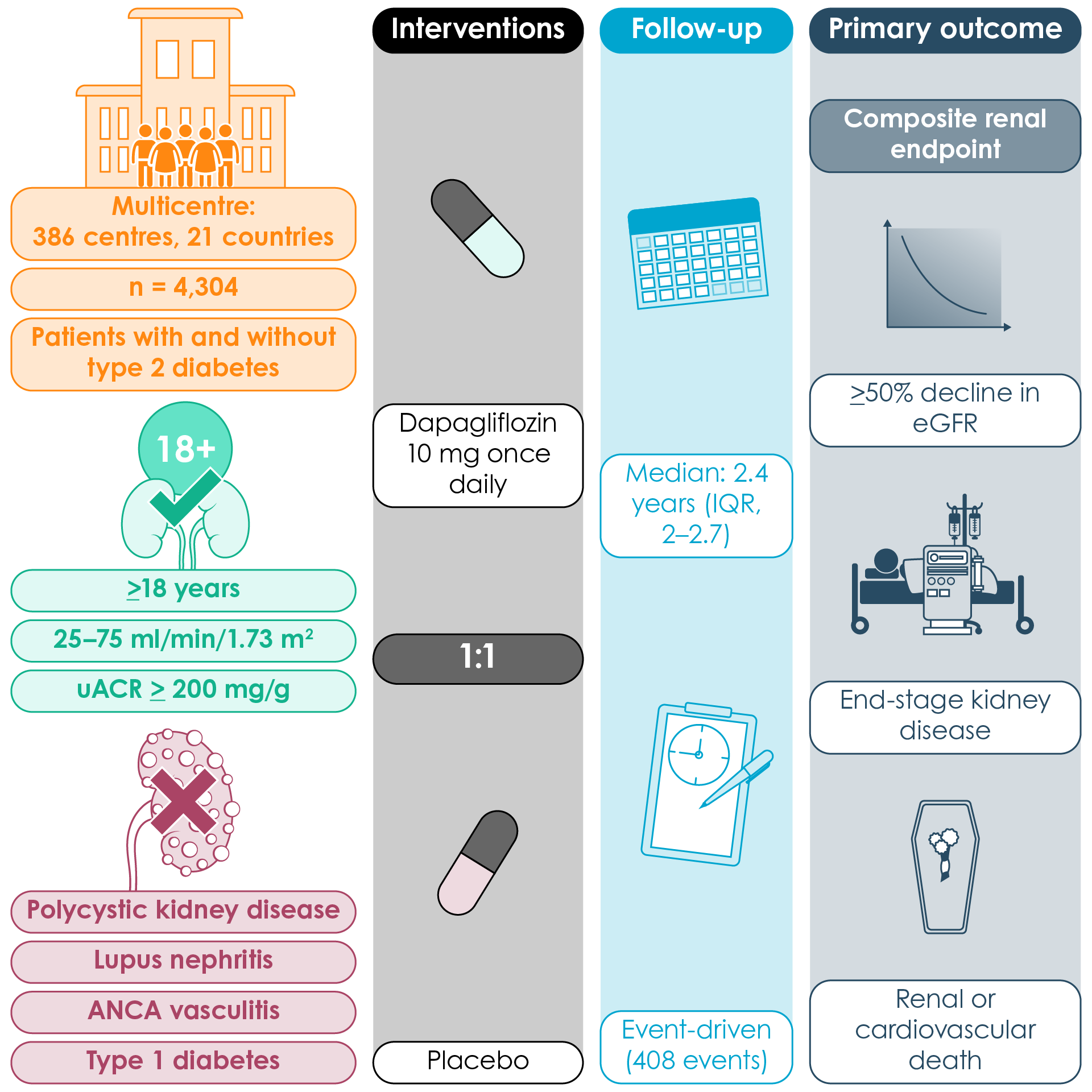 Dapagliflozin and prevention of adverse outcomes in chronic kidney disease (DAPA-CKD) clinical trial (Adapted10). ANCA, anti-neutrophilic cytoplasmic autoantibodies; eGFR, estimated glomerular filtration rate; uACR, urinary albumin-to-creatinine ratio.