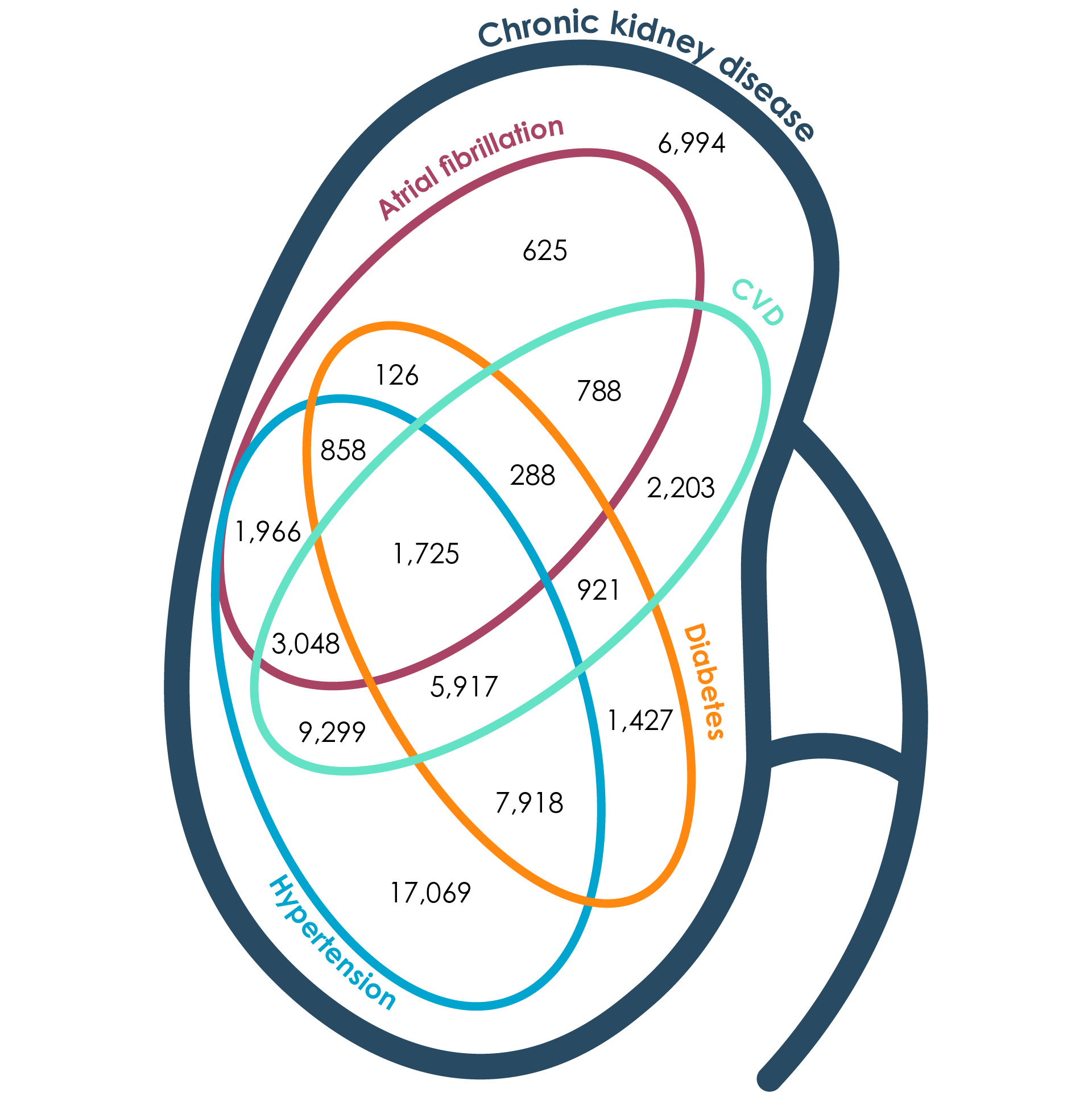 Venn diagram of the complex range of key comorbidities associated with chronic kidney disease patients from NPS MedicineWise’s MedicineInsight dataset