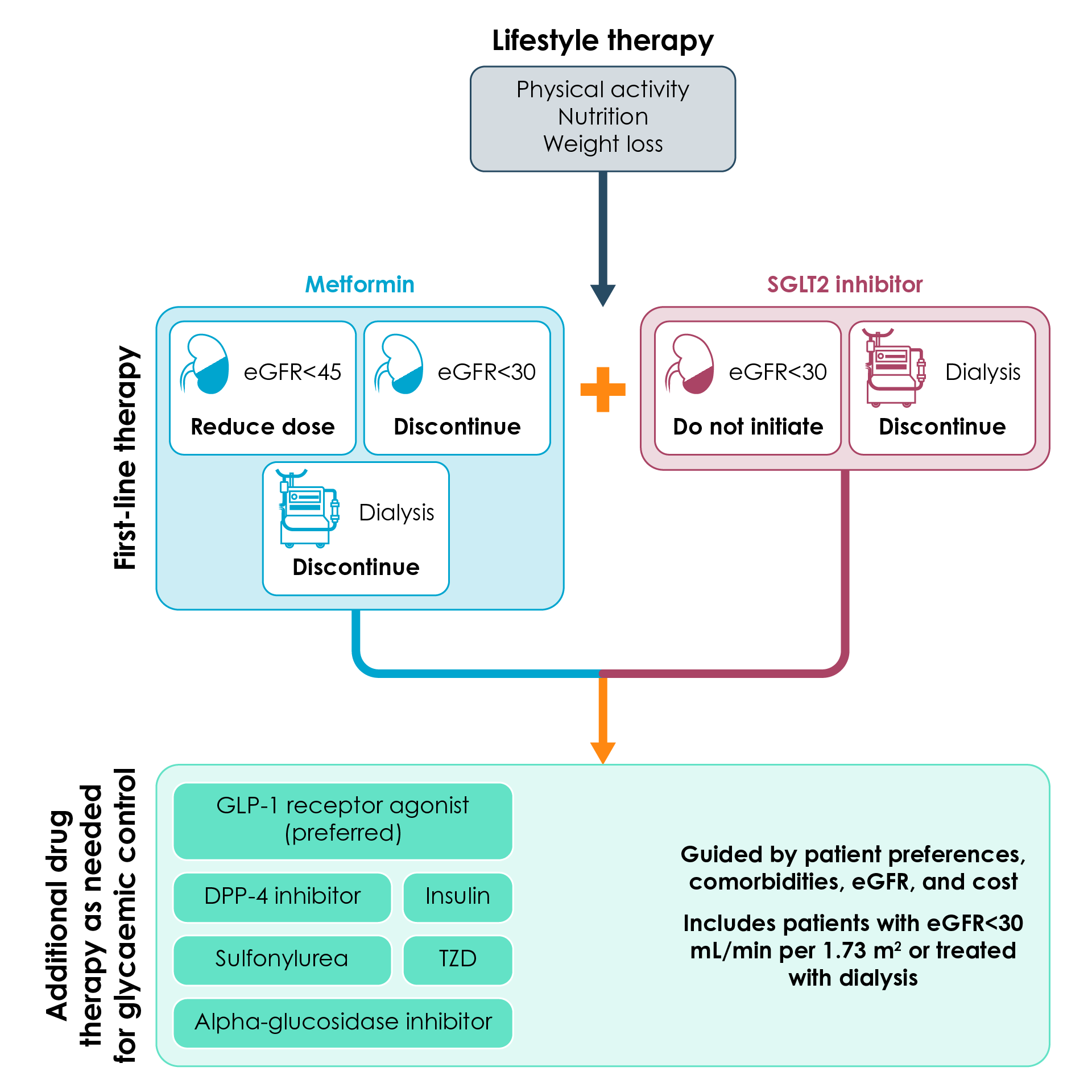 Treatment algorithm for patients with type 2 diabetes and chronic kidney disease